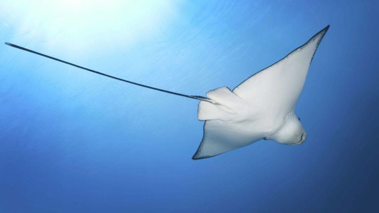 Direct Booking Offers That Work Without Discounts in 2026